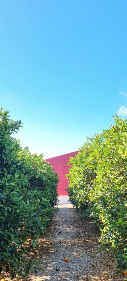 Вілла Quinta Dos I'S - Algarve Ferrarias  Екстер'єр фото