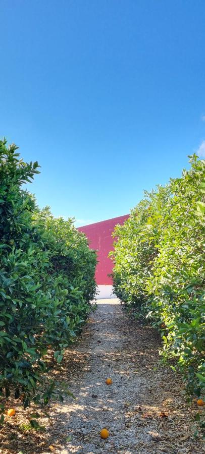 Вілла Quinta Dos I'S - Algarve Ferrarias  Екстер'єр фото