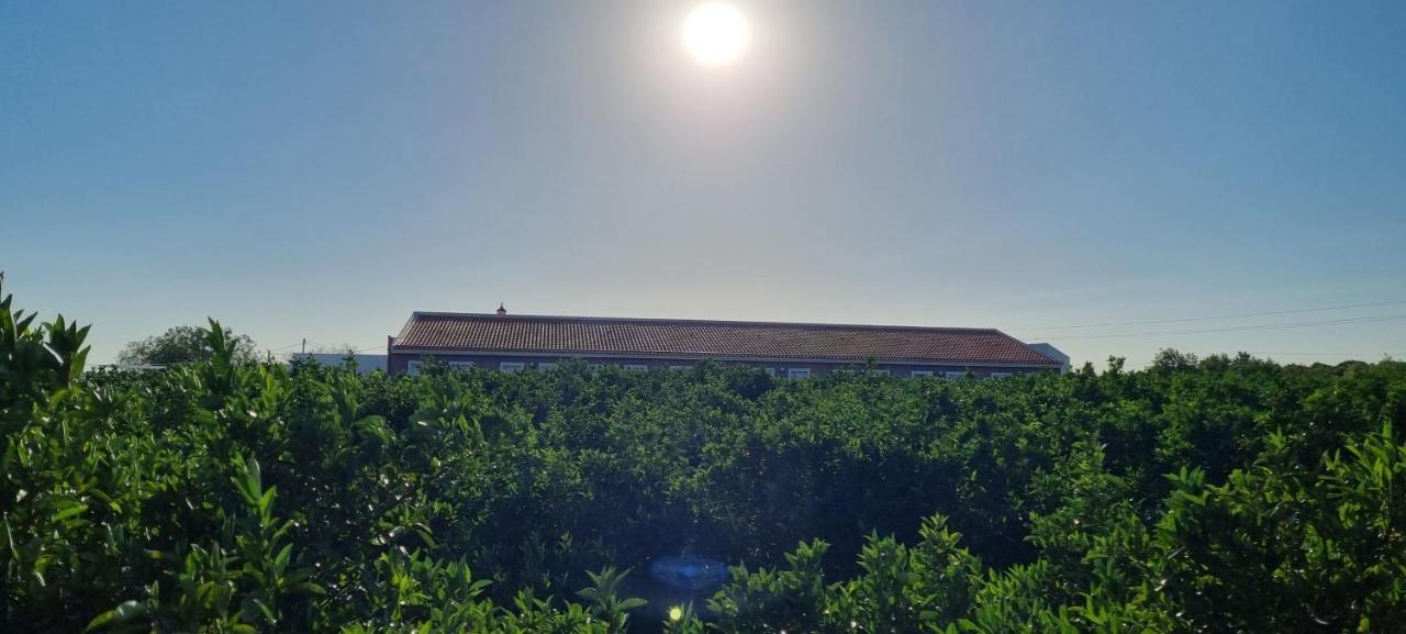 Вілла Quinta Dos I'S - Algarve Ferrarias  Екстер'єр фото